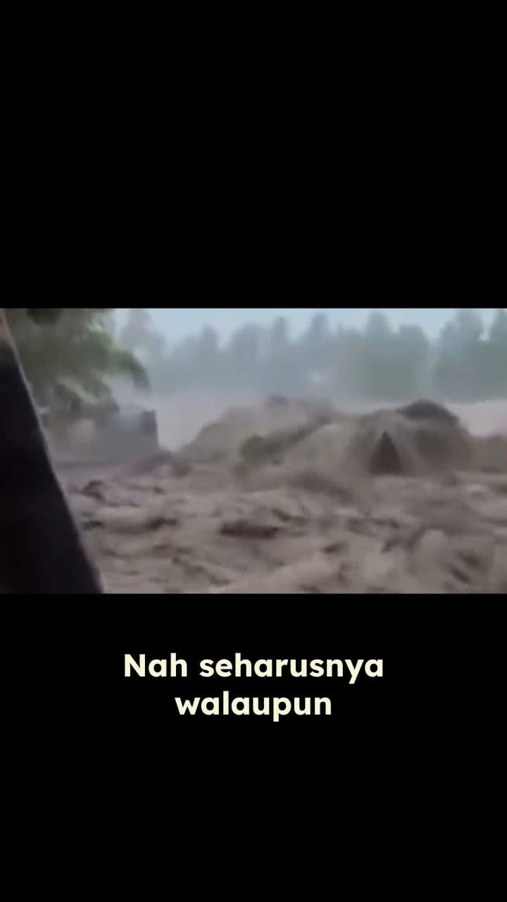 The Man-Made Causes Behind the Disaster