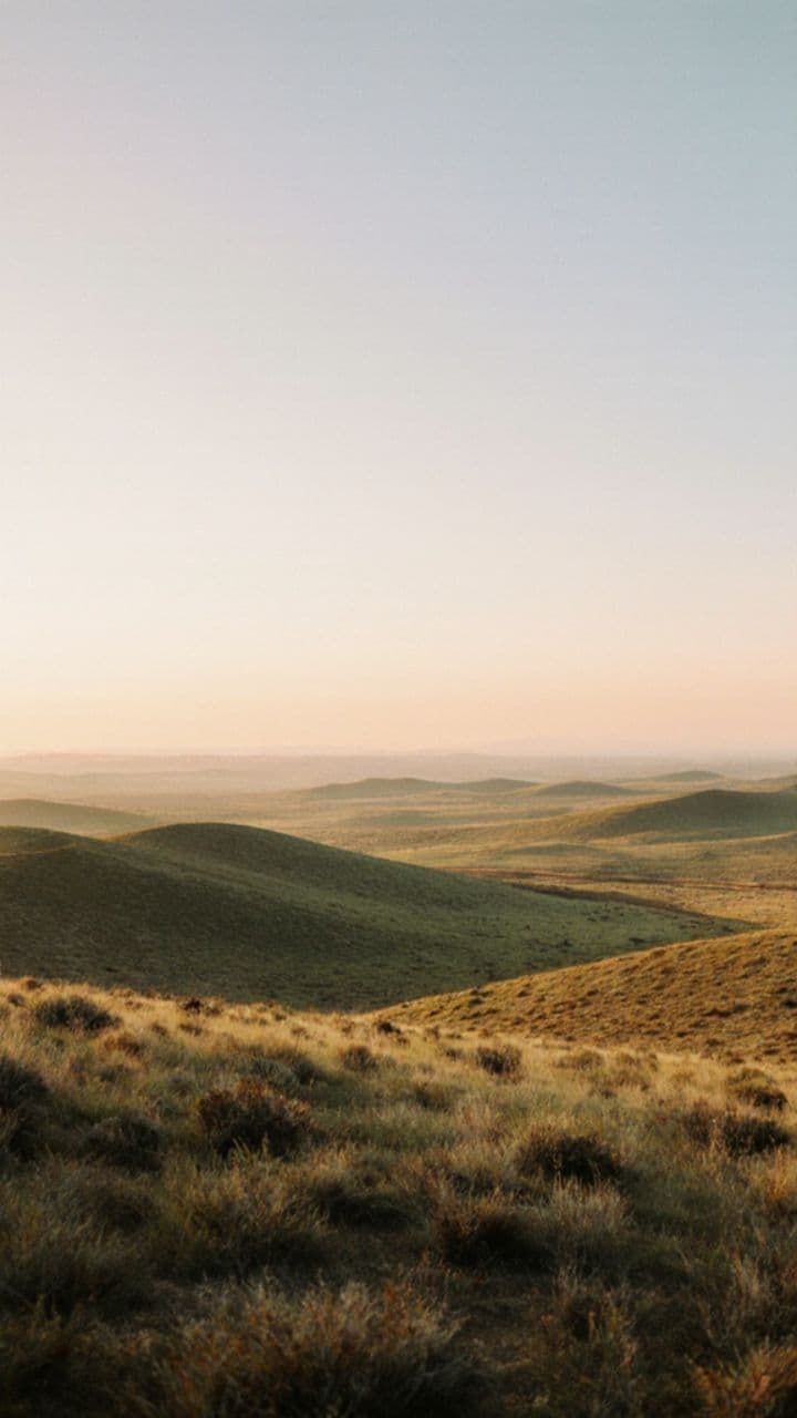 Untamed Wind Soundscape