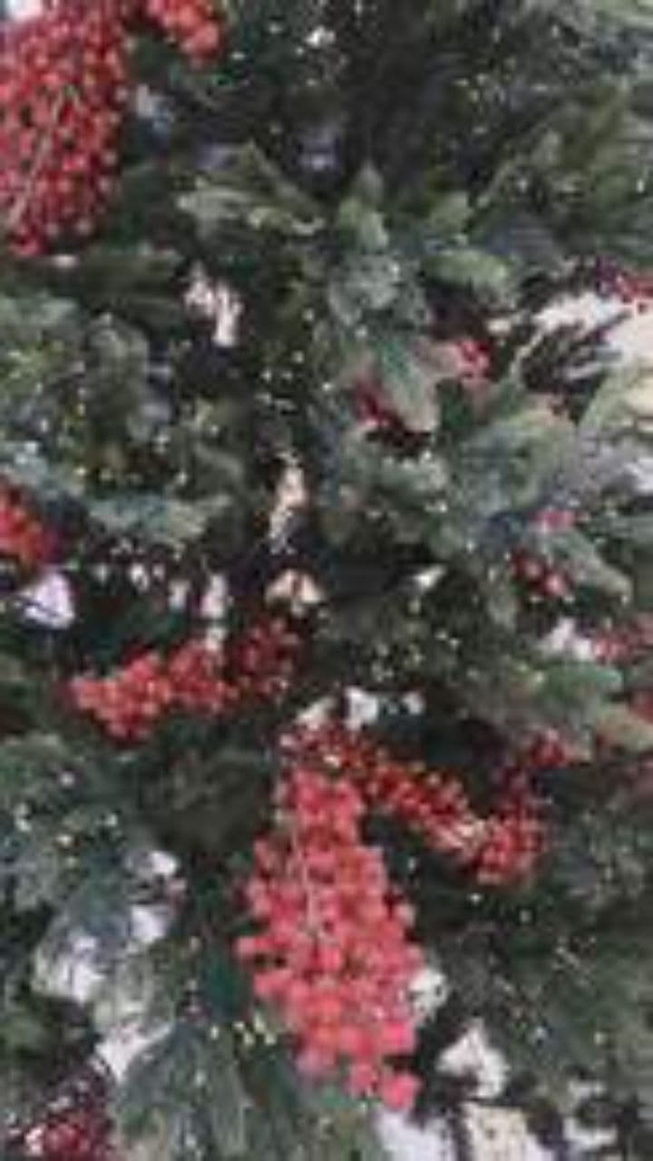 Feliz Navidad de TV Agro