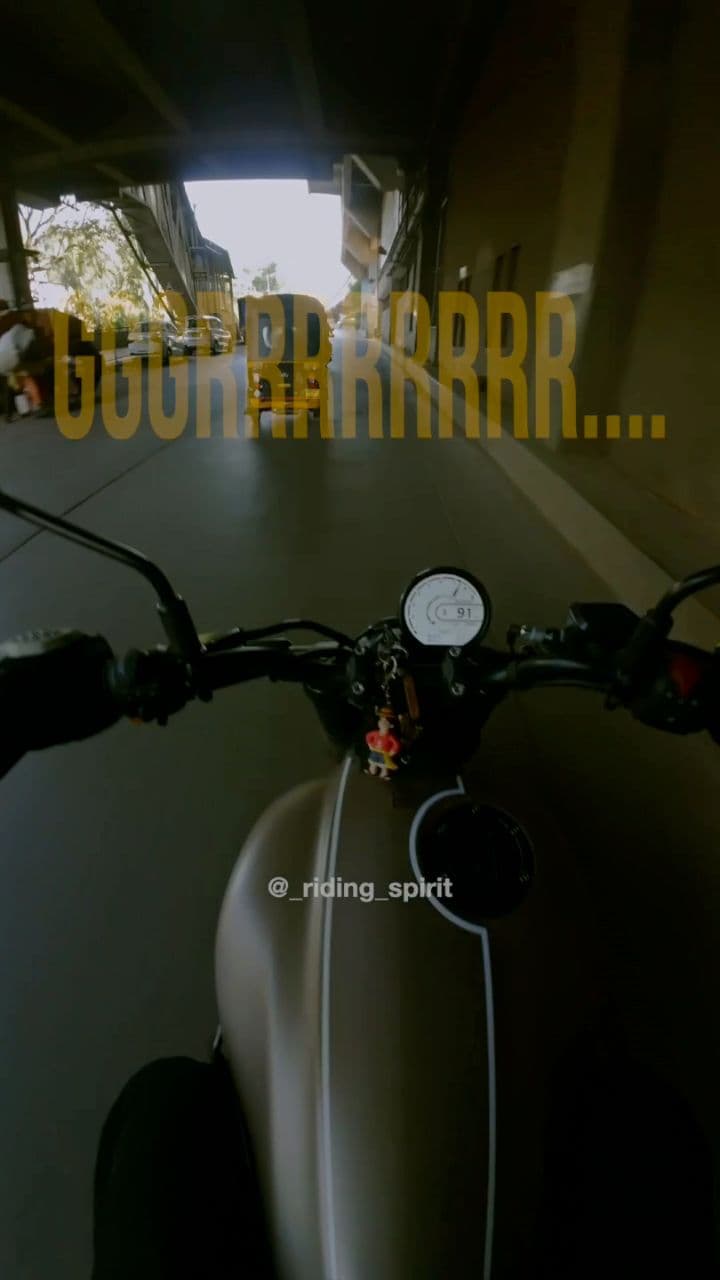 The Roaring Gorilla 450