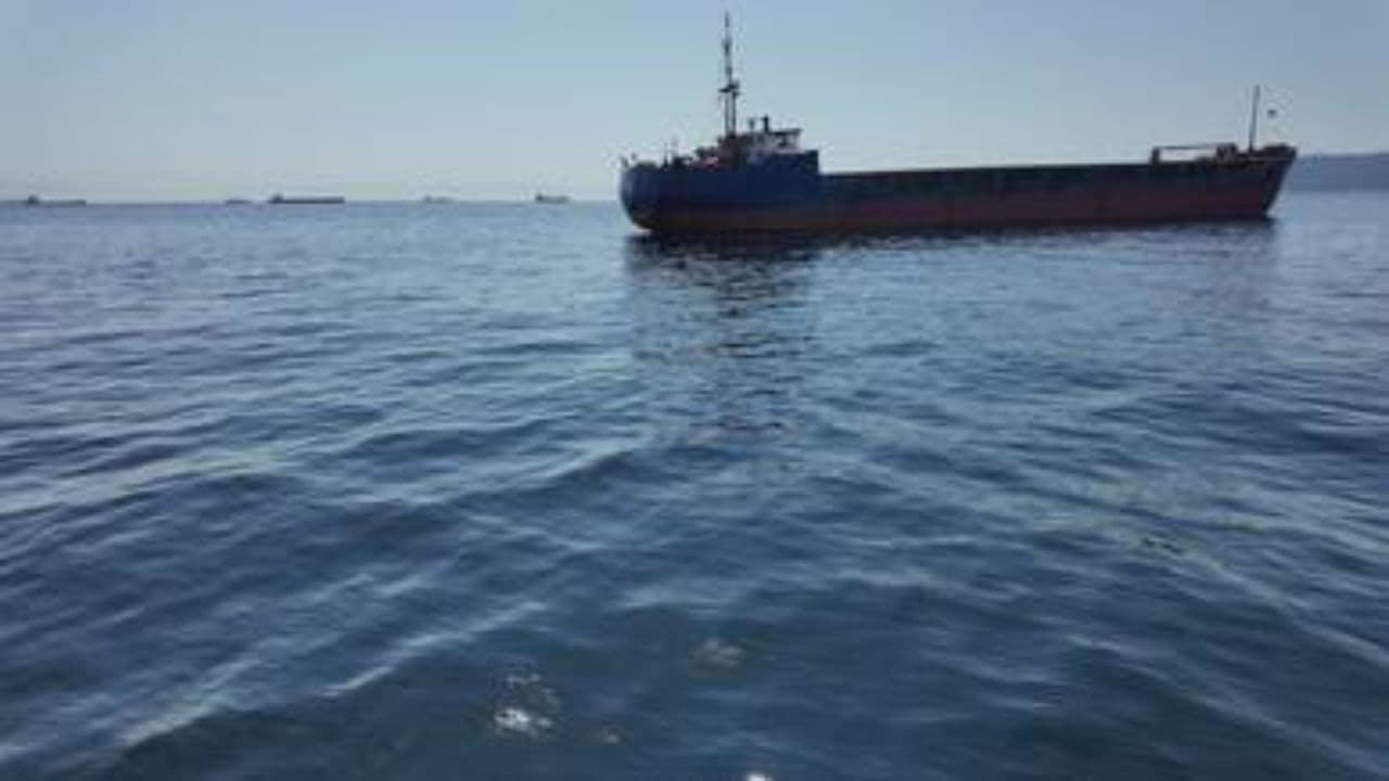 Filipino Hearts on a Dutch Canal