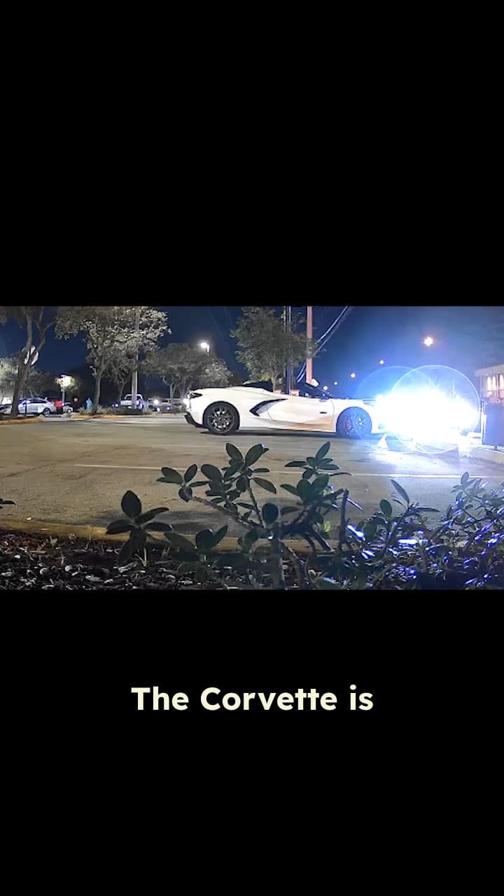 The Smartest, Dumbest Plan