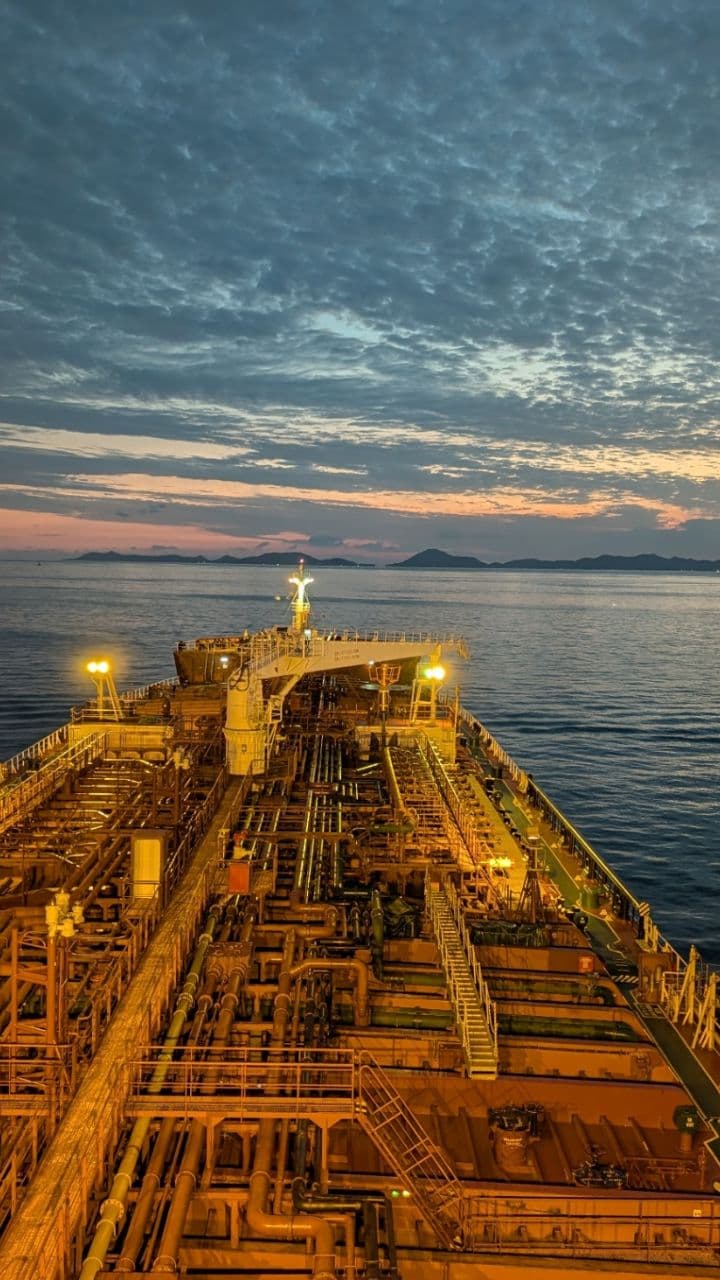 Happy New Year from the S.D. Brooklyn