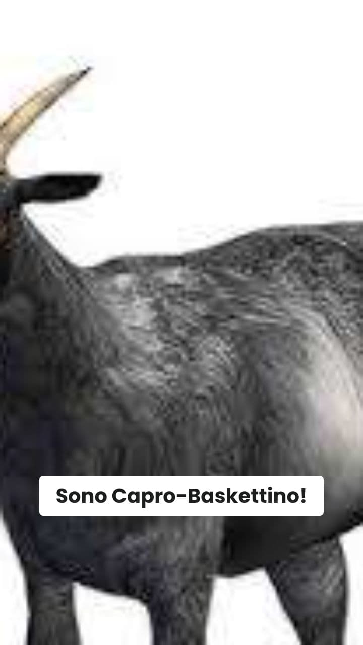 Il Capro-Baskettino