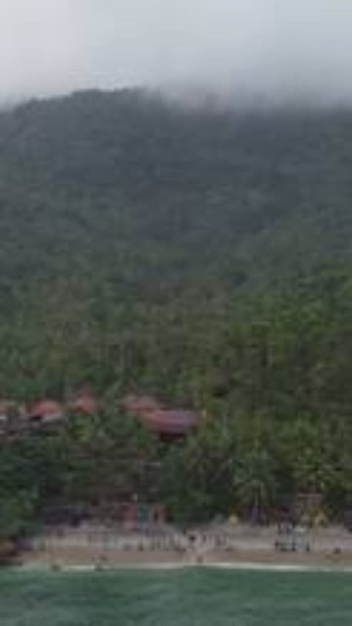 Jungle Serenity: A Cinematic Journey