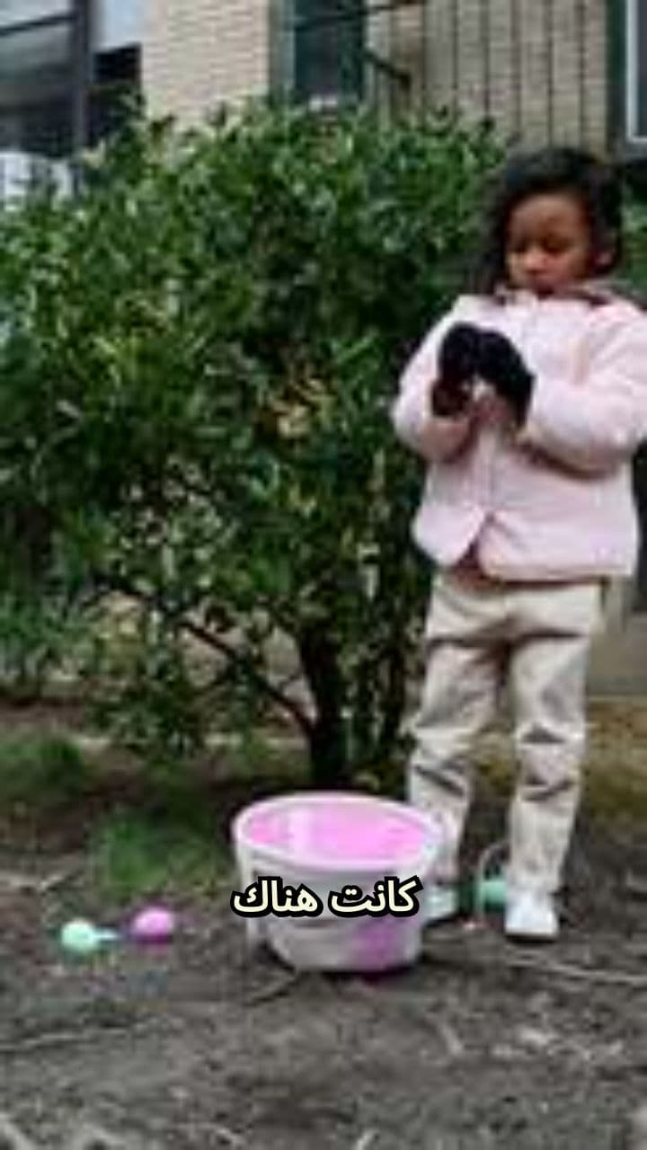 أمنية العروس والأرنب الأبيض