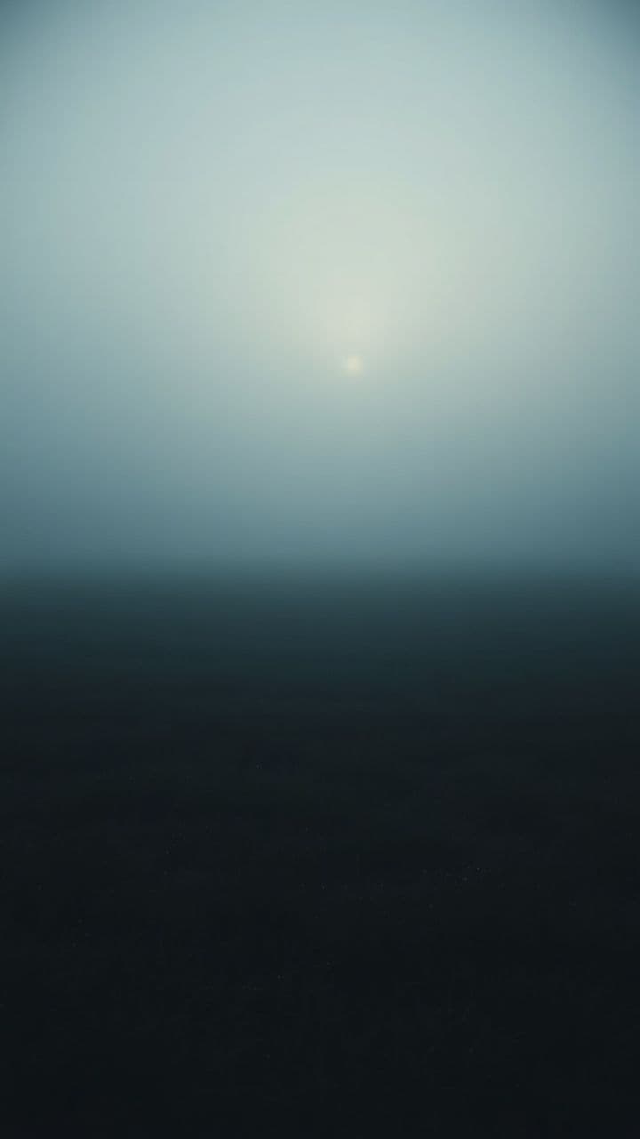 Служба и защита мира