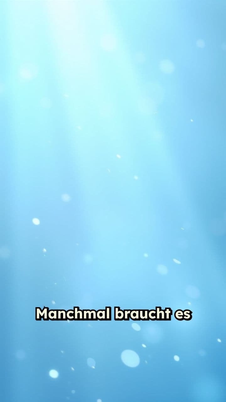 PULZ - Dein Tag, dein Quetschie