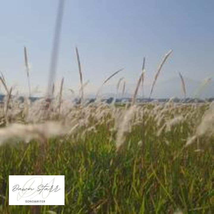 This Life Ain't Giving It Up