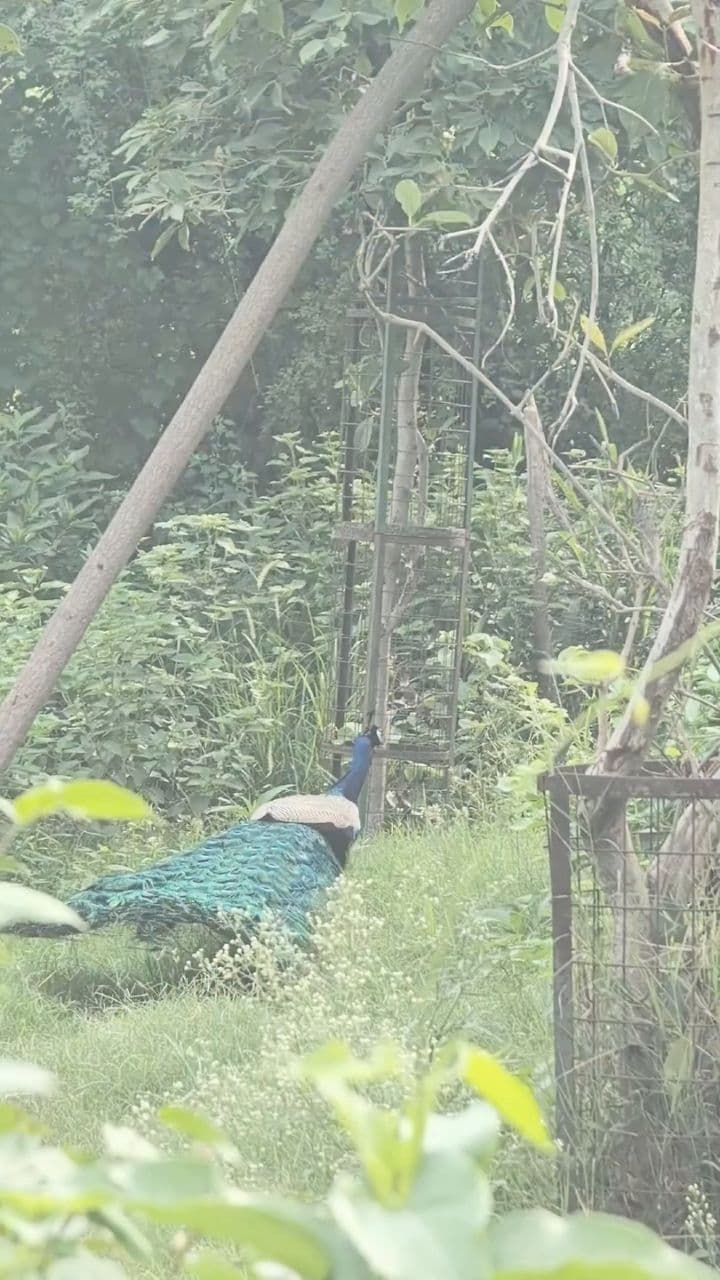 Discover Birds: Join Us This November!