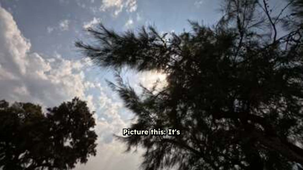 Why Women Bought Dodge La Femme