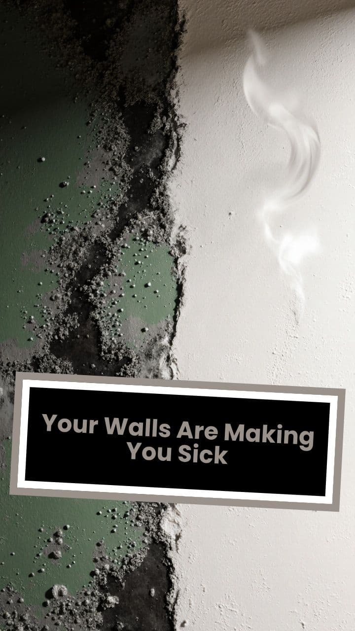 Your Walls Are Making You Sick