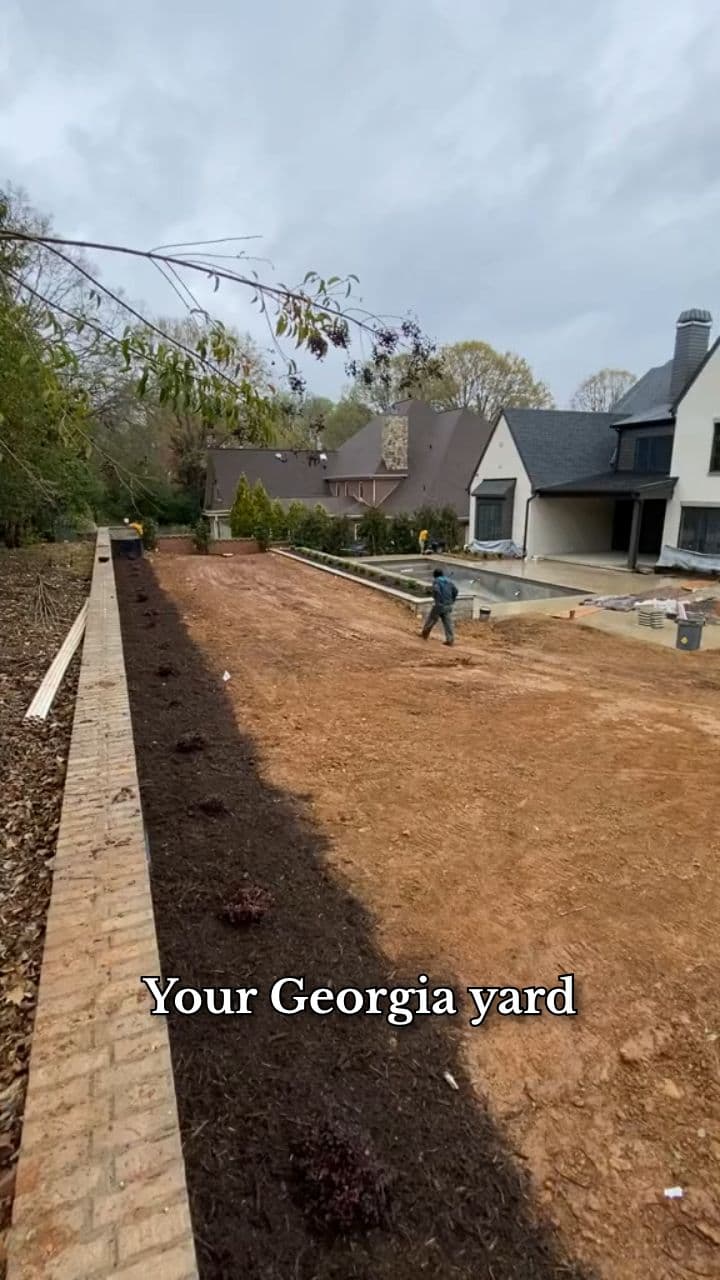 Instant Green Lawn in Georgia