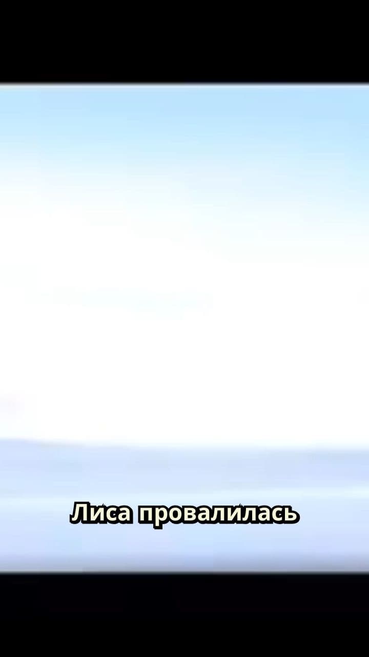 Дружба в неожиданных местах