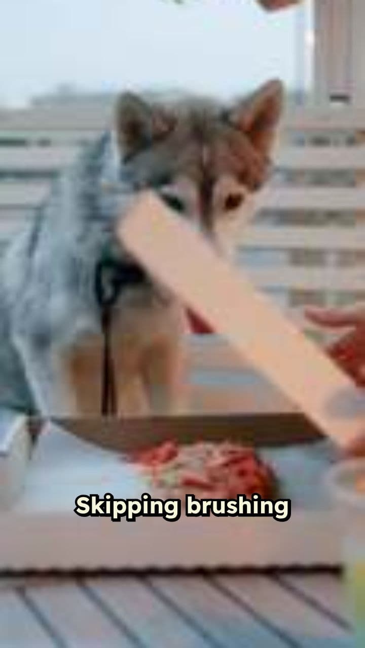 Brush Twice Daily, Save Your Teeth