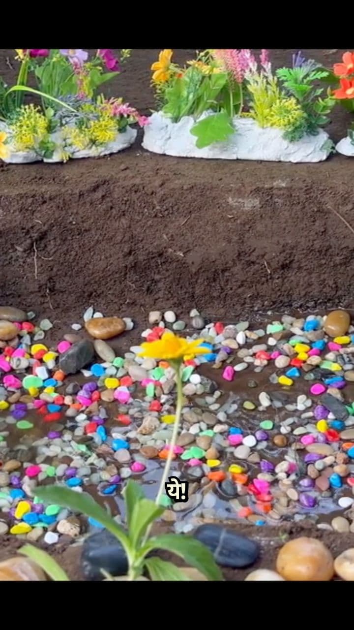 तालाब के अनोखे जीव