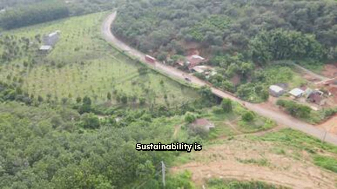 Safety: The Foundation of Sustainability