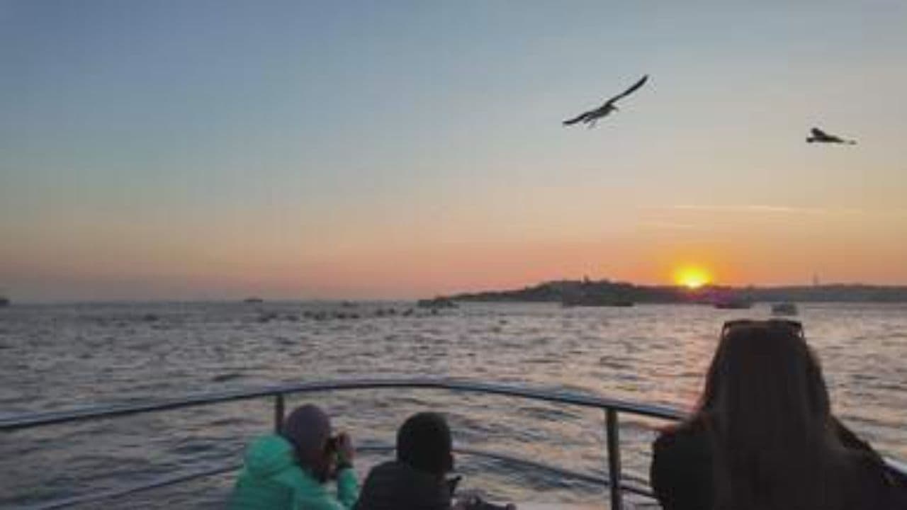 তুমি আমার শান্তি