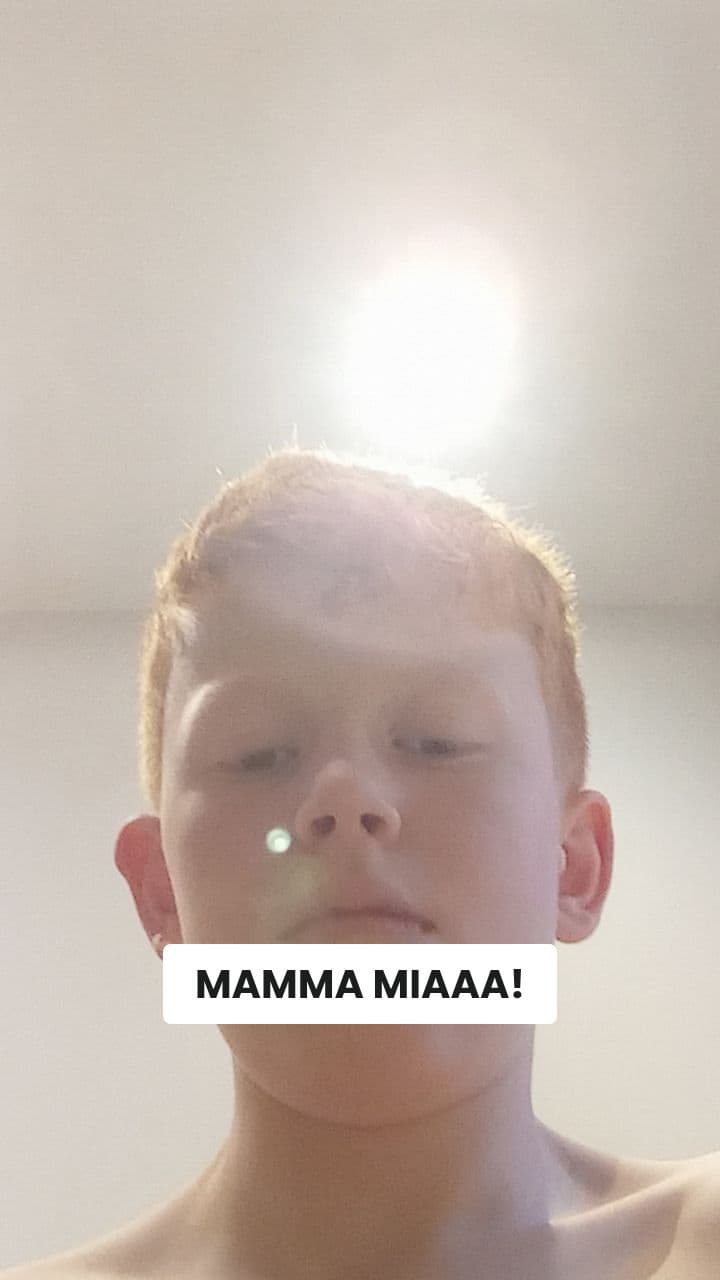 La Follia di FormicaDonut!