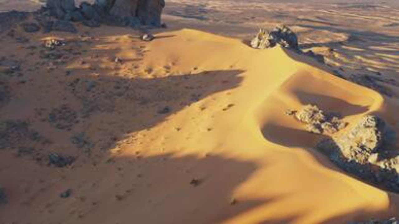 The Green Sahara: A Lost Paradise