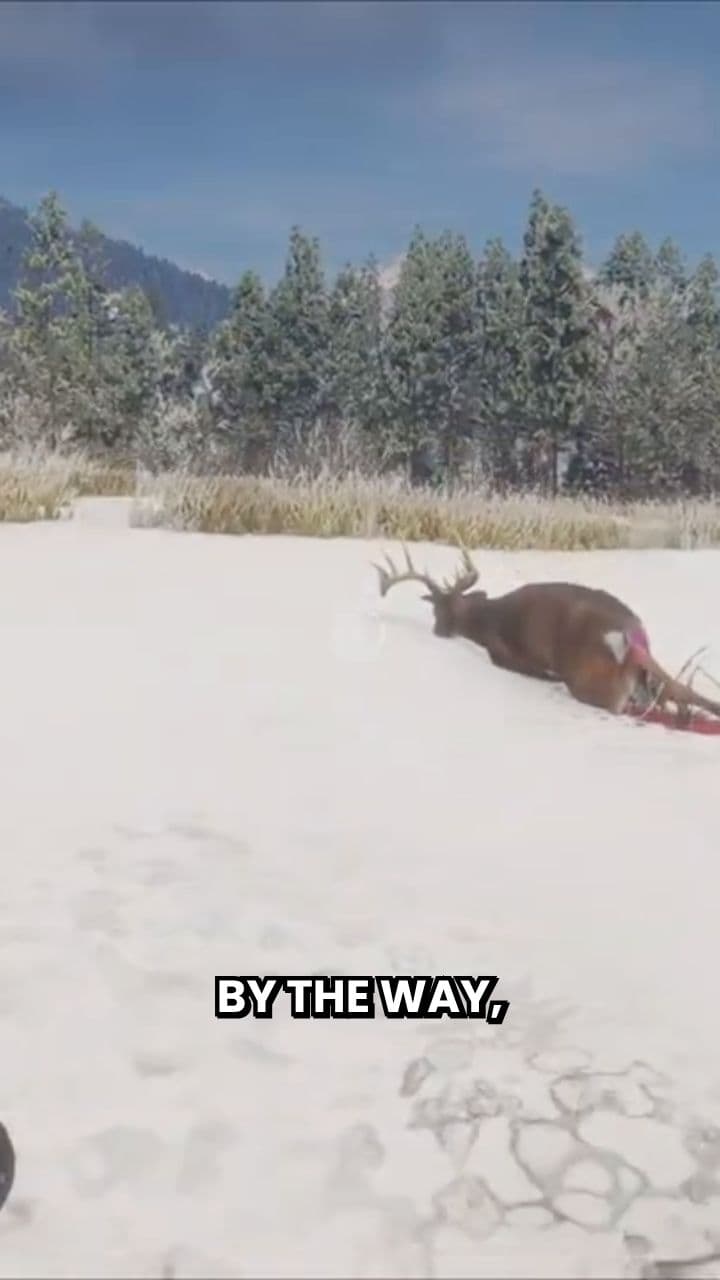 A Surprising Tip for Beginners