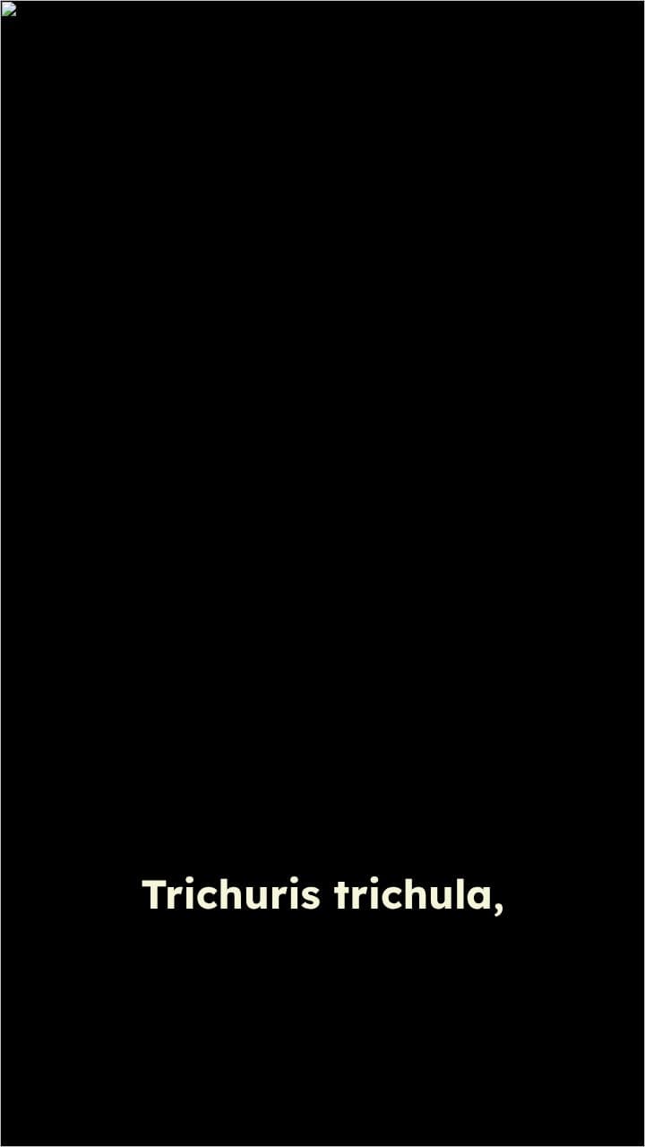 Trichuris trichulá y la escuela