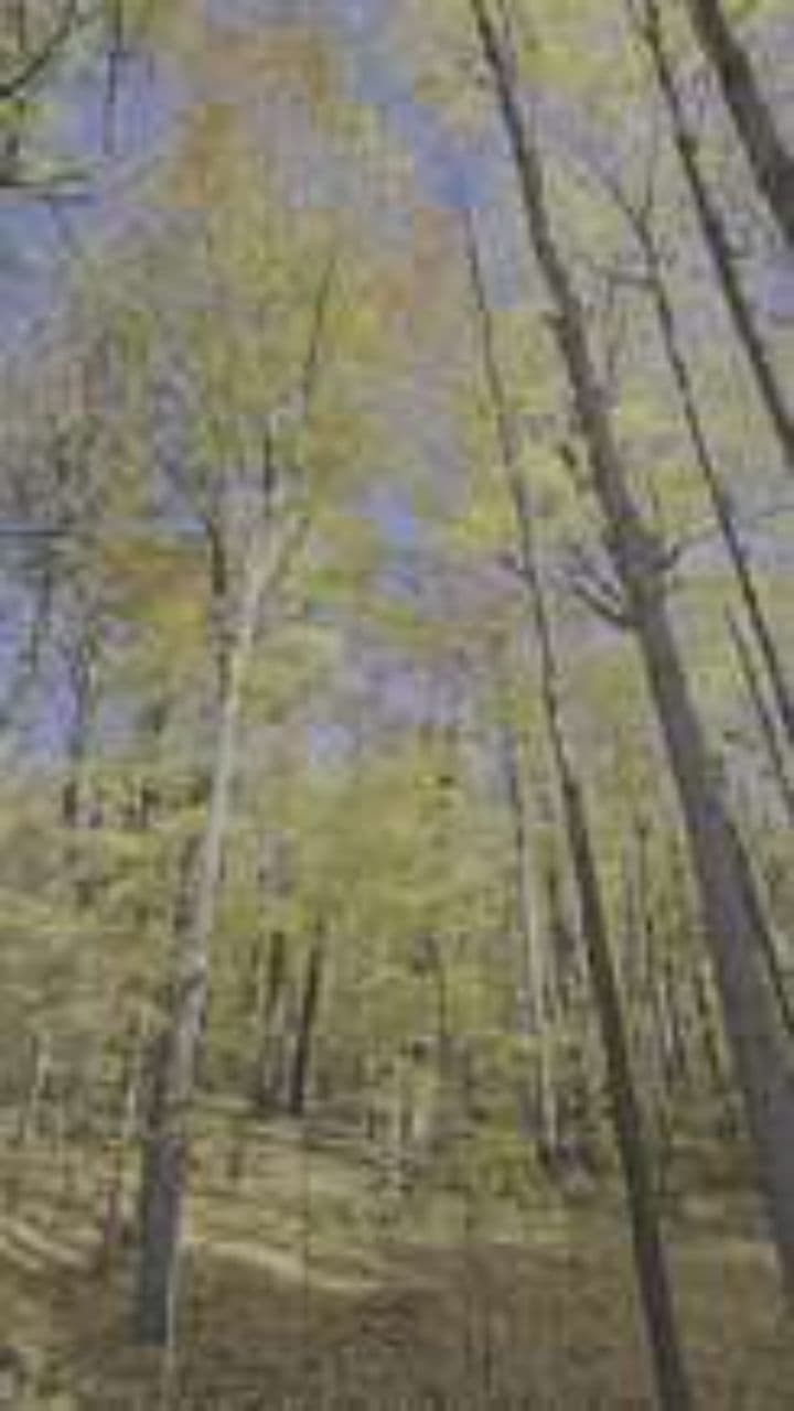 O Senhor é meu pastor