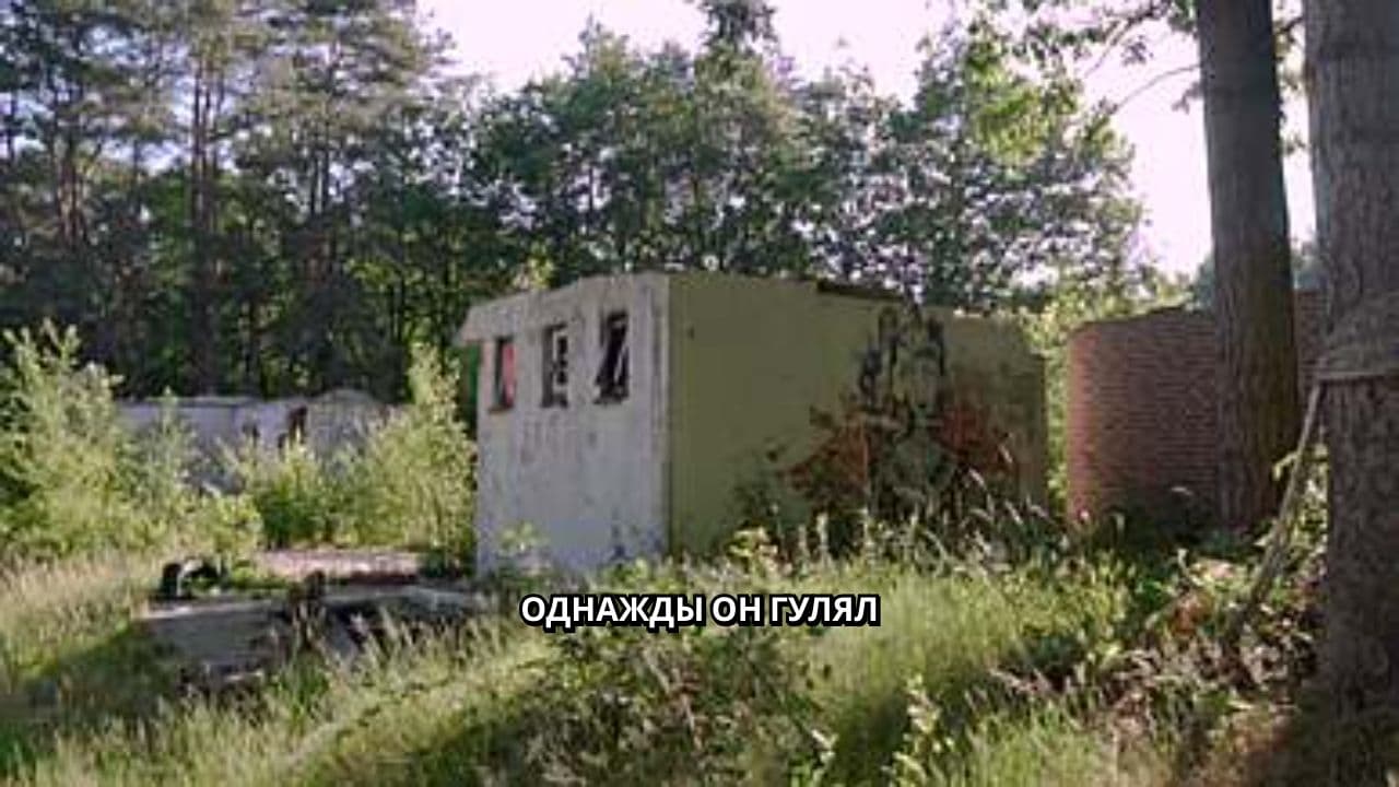 Подвиг в лесу