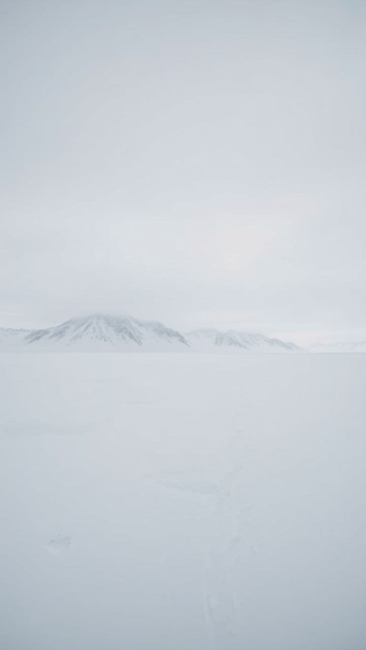 Стена между счастьем и мечтой