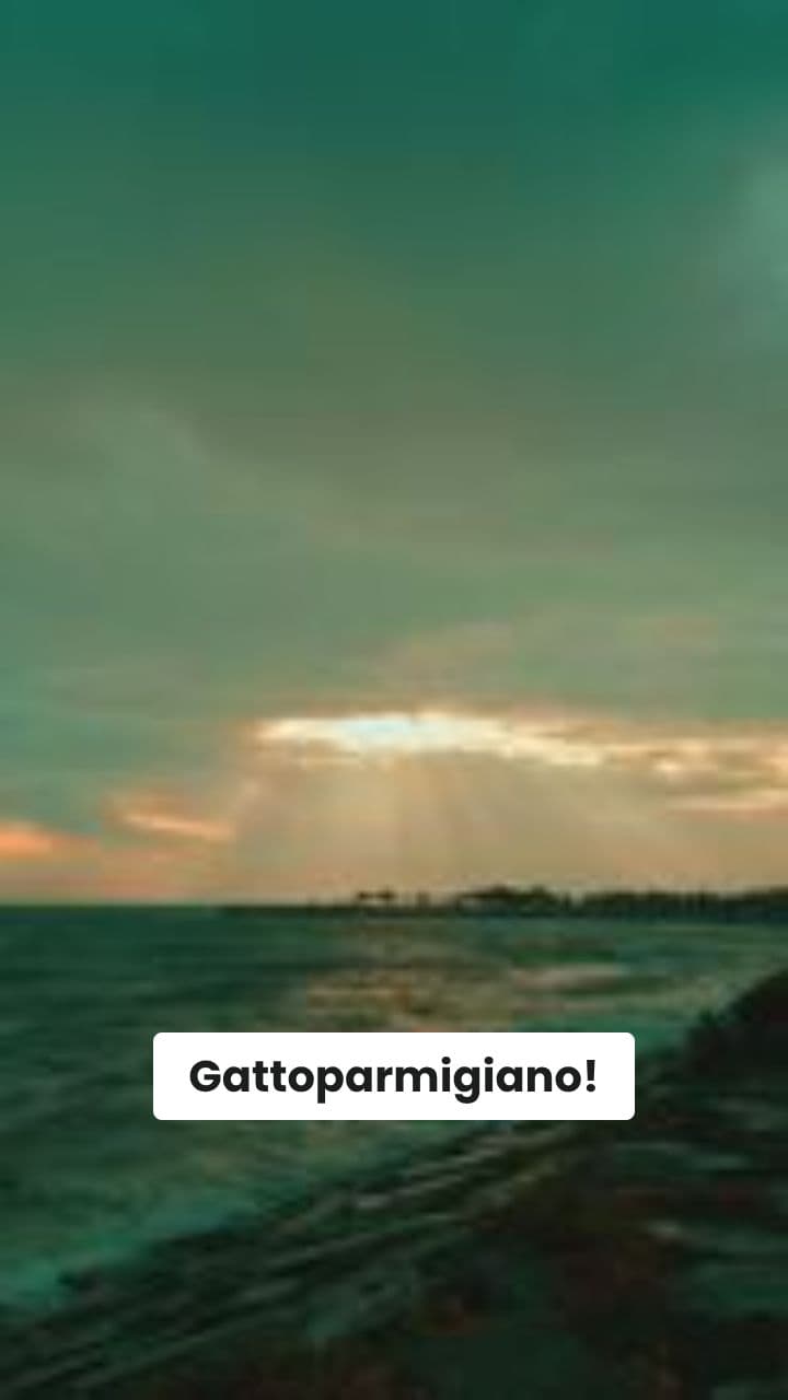 Gattoparmigiano e il Mare Mozzarella!