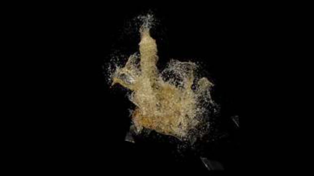 Paramedics for a Broken Heart