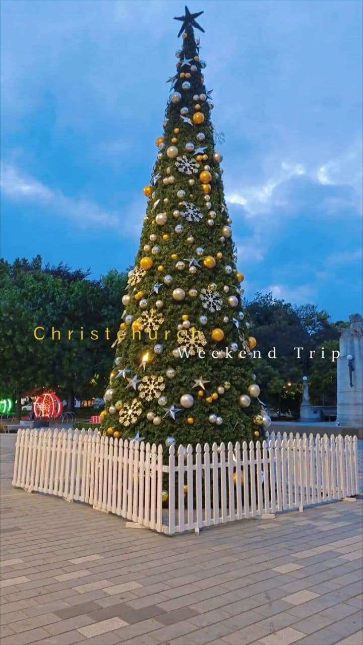 Casual Nights, No Strings Attached