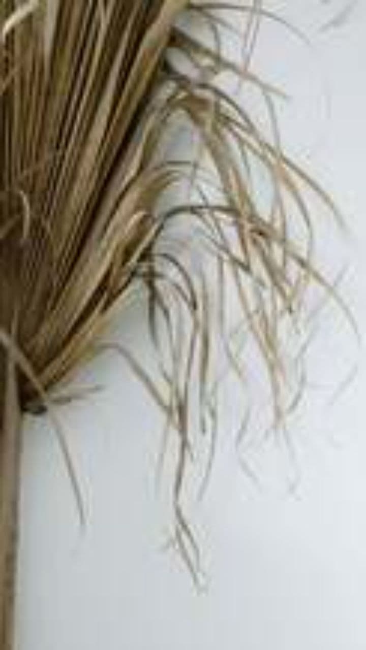 Богатство в душе, а не в золоте