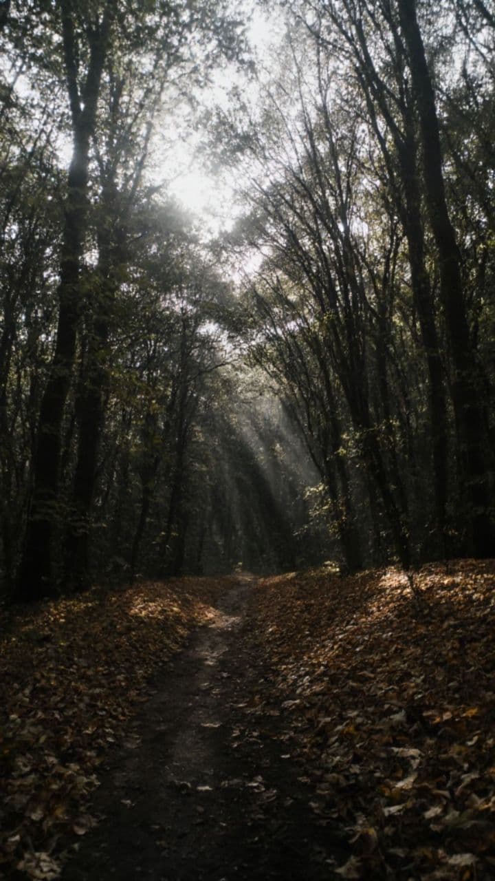 "Táto: A Journey Through Emotion"