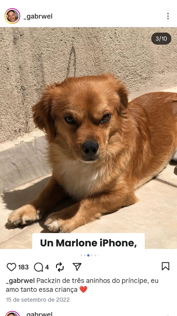 Marlone iPhone: Il Caos dei Tralaleitos