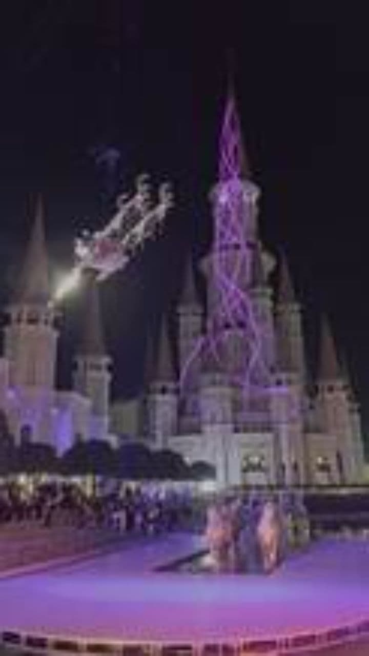 Romina's Tooth Fairy Magic