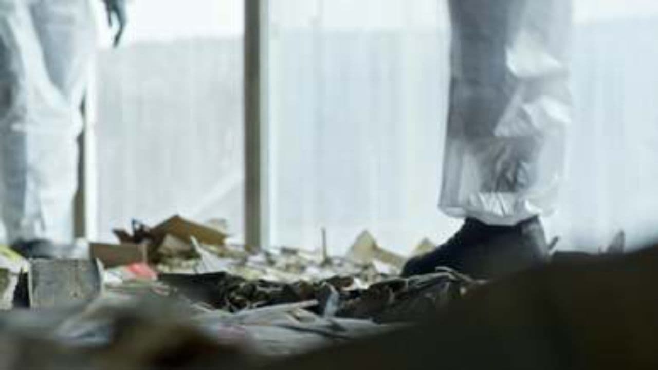 Rethinking Light Standards for Safety