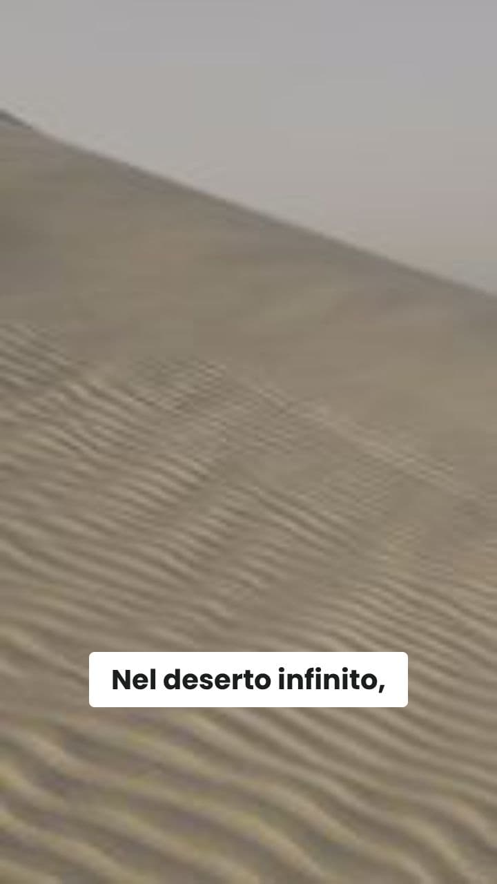 L'Odisea della LattugaDrago