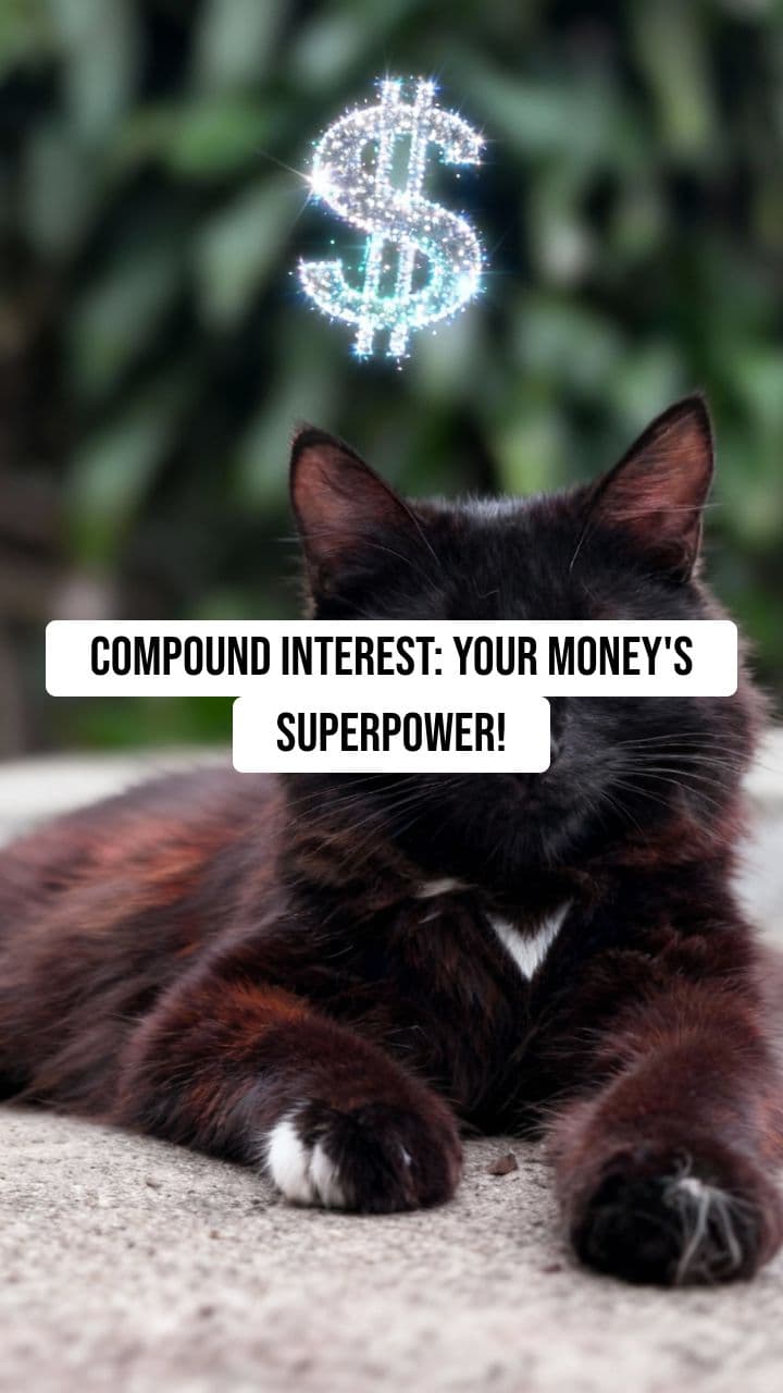 Compound Your Future: The Cat's Guide to Wealth
