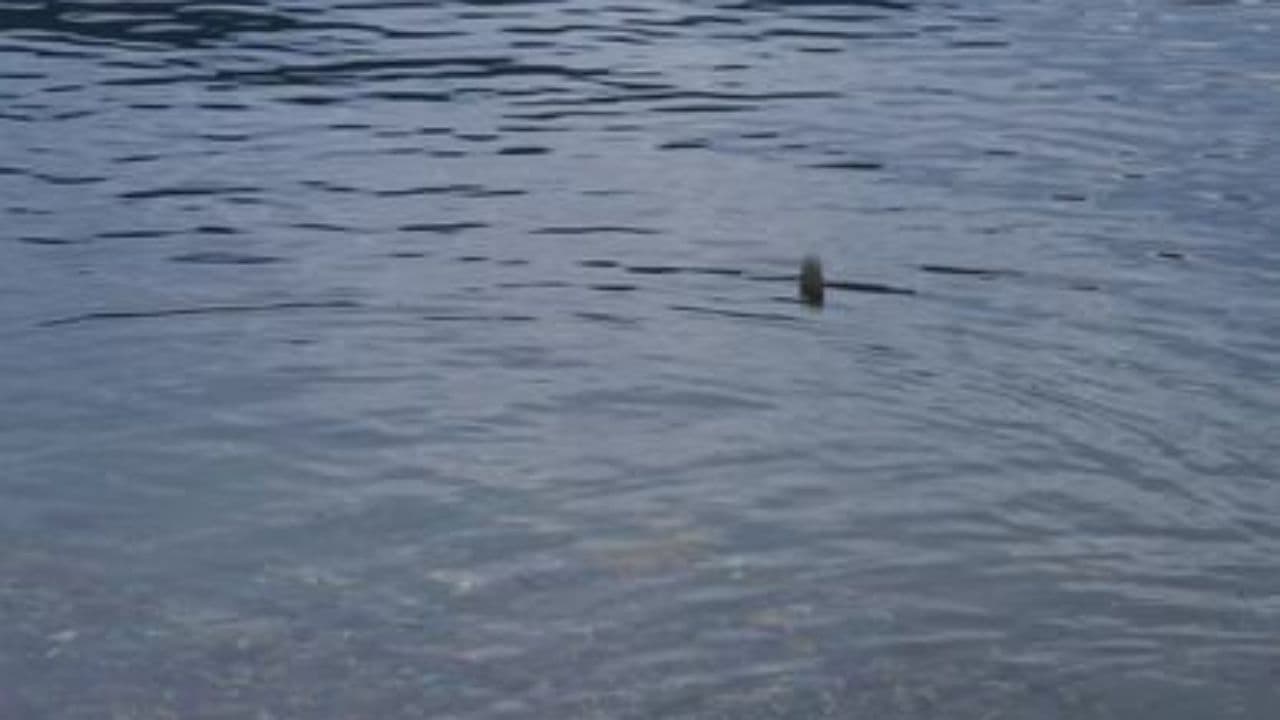 Lesson 02-The Ripple Effect of Small Changes