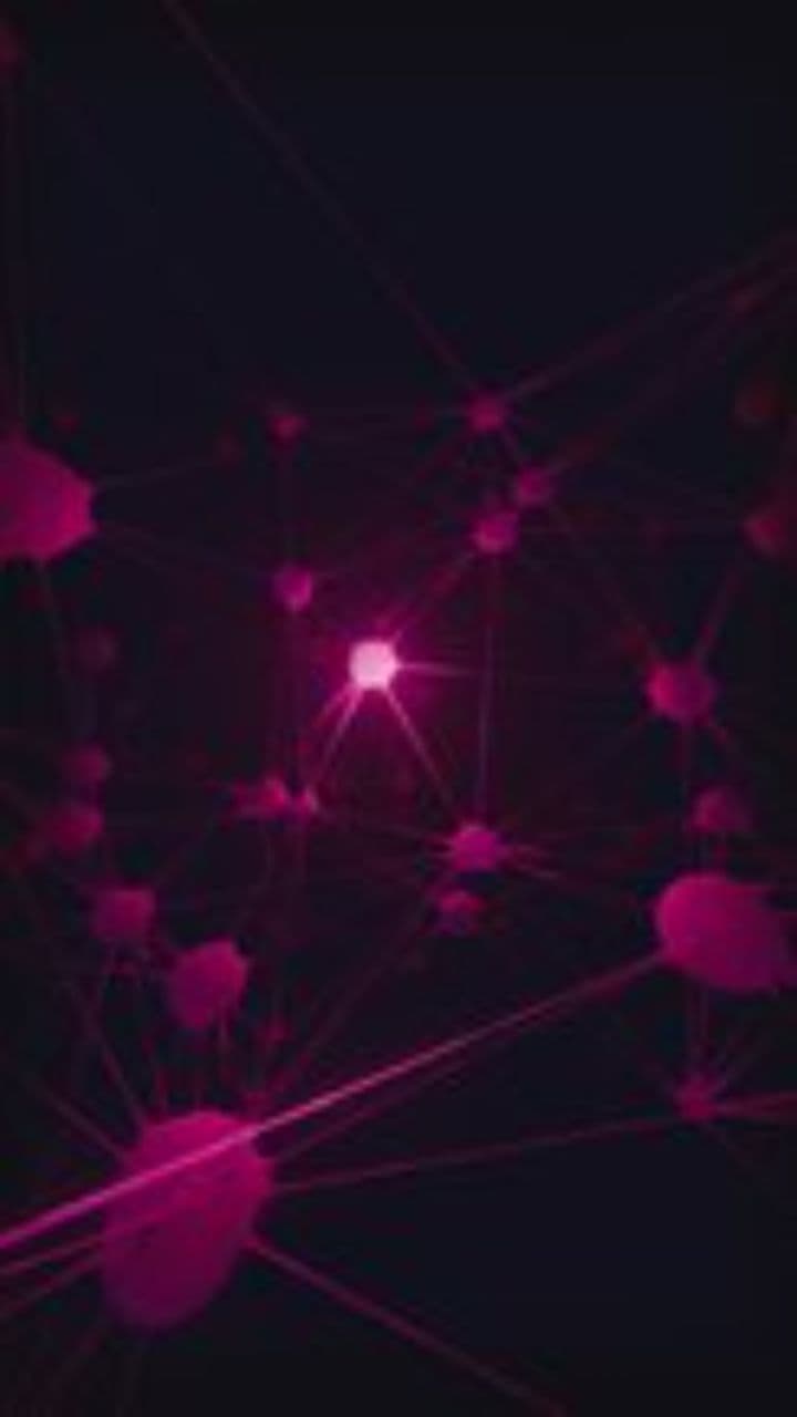 Lines of Light: A Guiding Voice