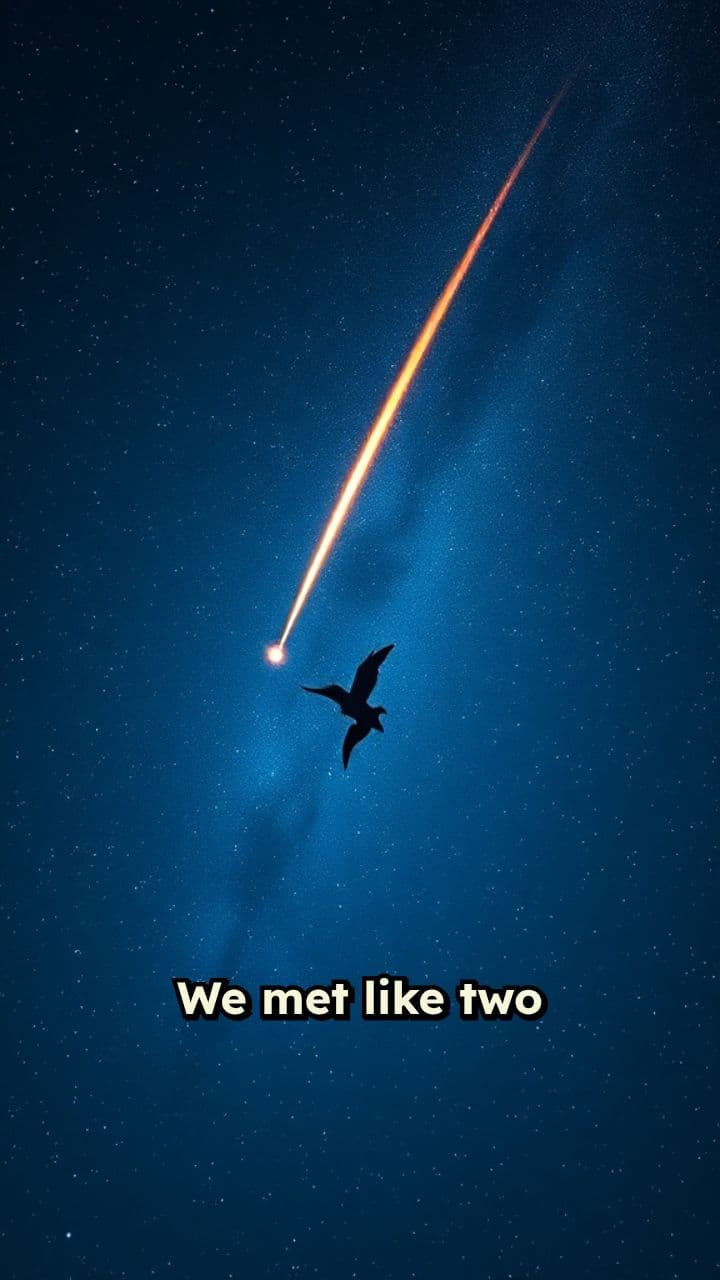 Chasing the Sun Together