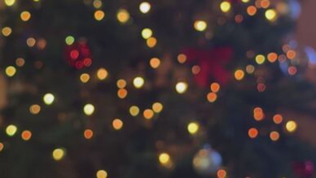 Christmas Gift Ideas for Everyone