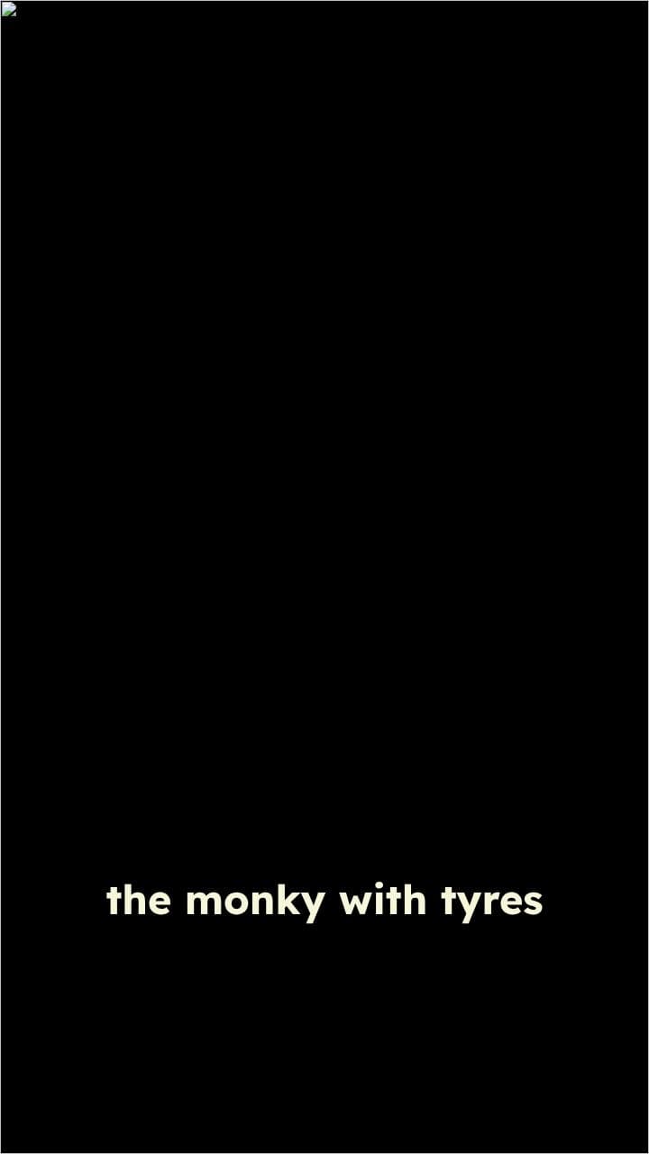 Monkey with Tires in the Forest