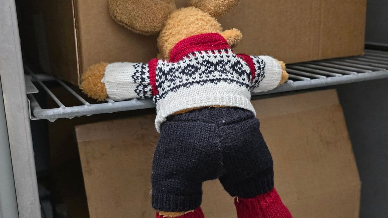 MooseSLO's Christmas Cheer