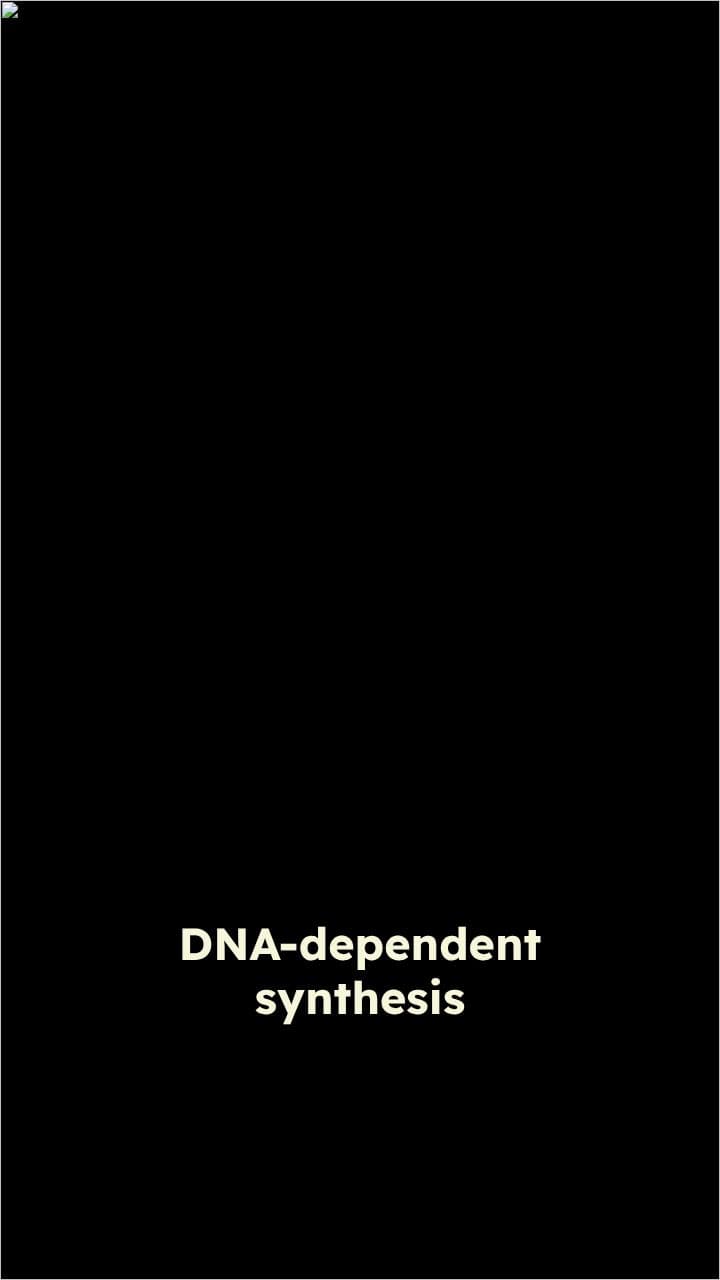 RNA Synthesis from DNA Template
