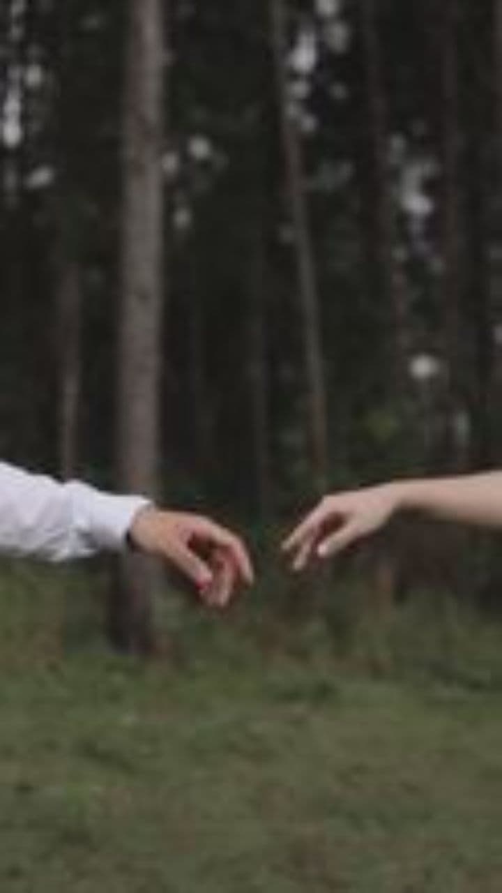 Echoes of a Lost Love