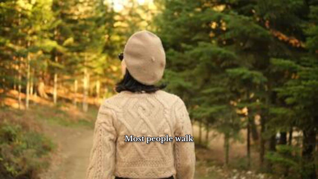 Nature's Hidden Treasures Revealed