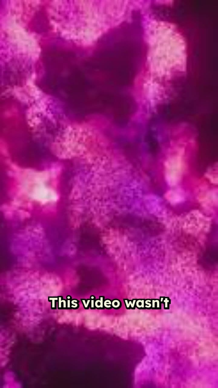 Reality Unveiled: A Three-Second Revelation