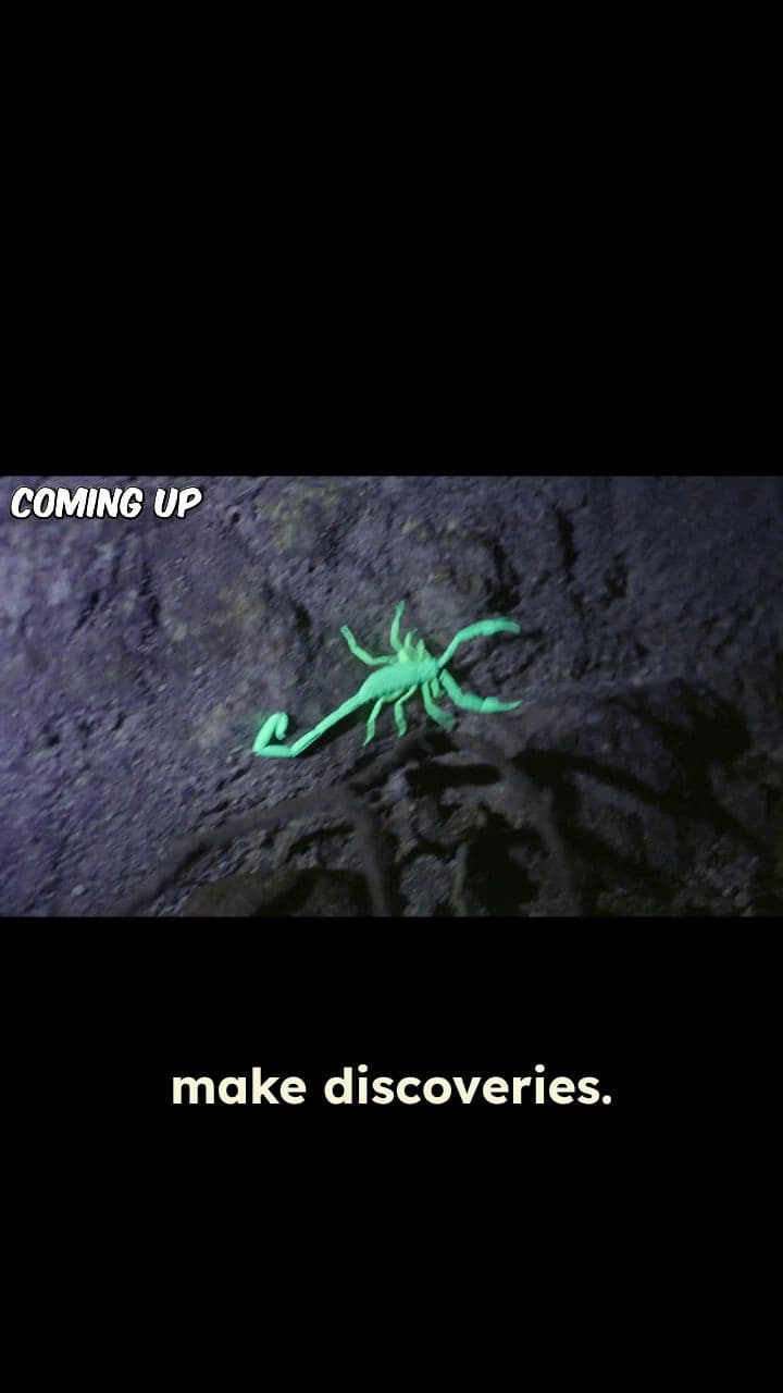 Discovering Mayan Secrets